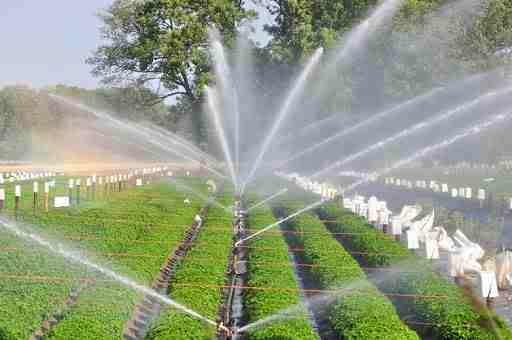 Irrigation Sprinklers - Len Academy