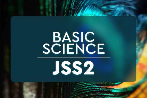 len-academy-examination-questions-for-basic-science-jss2-2nd-term