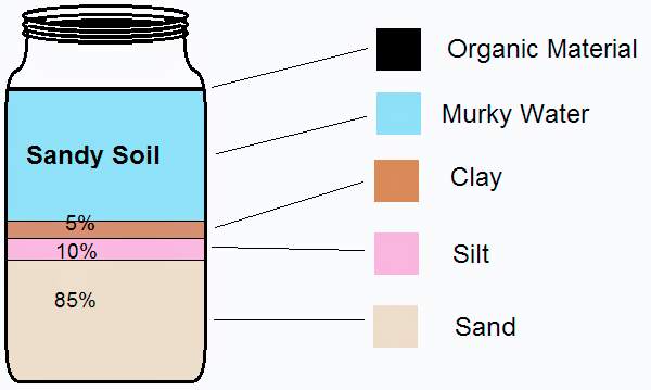 Composition of Sandy Soil - Len Academy